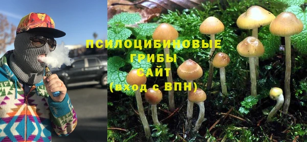 мяу мяу кристалл Алексин